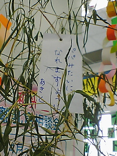 短冊。